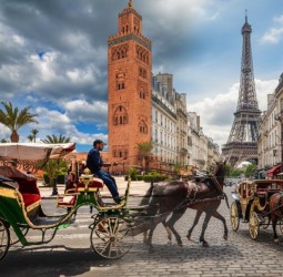 الازدواجية في العمل الوزاري والجماعي، حين تختلف القواعد باختلاف المواقع