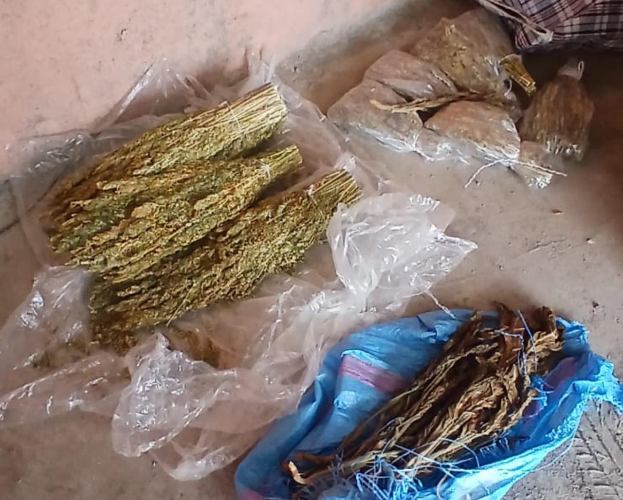 ضيعة فلاحية تُخزّن الطابا والكيف.. والدرك يداهم بدوار أولاد عثمان