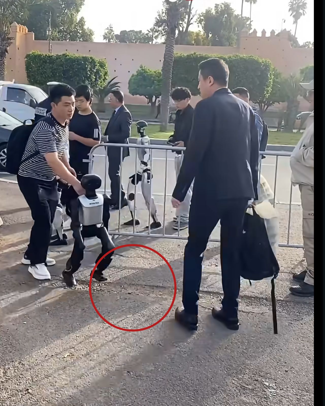 جيتكس مراكش.. "الشيطان يكمن في التفاصيل" وتحت أقدام الروبوتات!