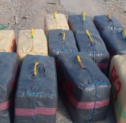 تفكيك محاولة ترويج المخدرات بضواحي آسفي.. الدرك الملكي يحجز 50 رزمة في عملية أمنية محكمة