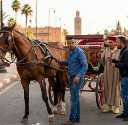 مراكش: فيديو صادم يهز صورة “الكوتشي”… واقعة معزولة تطرح أسئلة ثقيلة