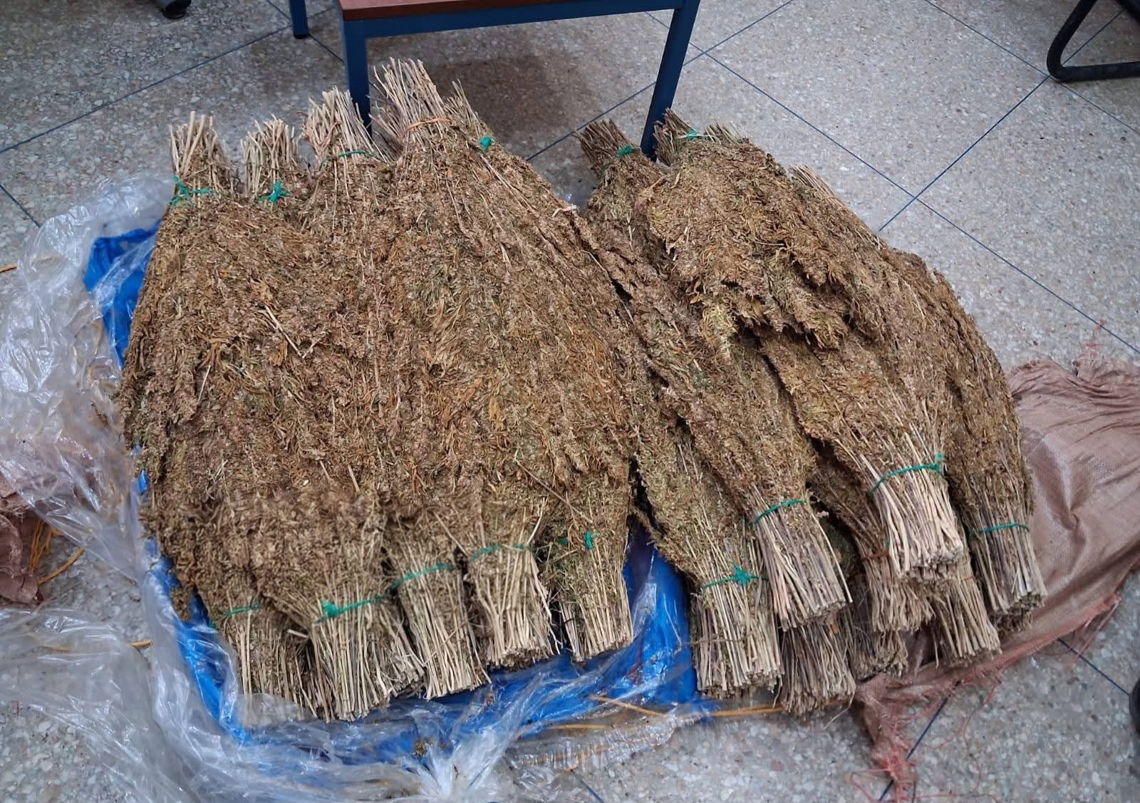 حجز 130 كلغ من القنب الهندي في تدخل نوعي للدرك الملكي بالجديدة