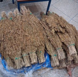 حجز 130 كلغ من القنب الهندي في تدخل نوعي للدرك الملكي بالجديدة