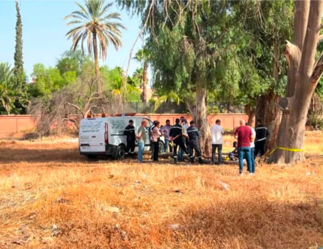 شارع الأمير مولاي رشيد بمراكش.. جثة معلقة بشجرة داخل حديقة تستنفر الأمن