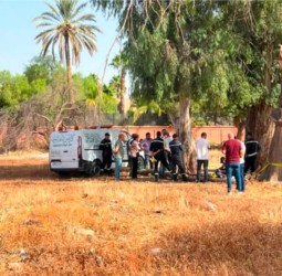 شارع الأمير مولاي رشيد بمراكش.. جثة معلقة بشجرة داخل حديقة تستنفر الأمن