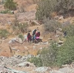 الحوز.. أربعة أشخاص بجروح متفاوتة في انقلاب سيارة بإمكدال