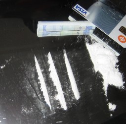 كوكايين كان في طريقه لمراكش.. توقيف شخصين في حالة تلبس
