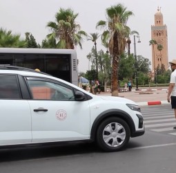 ممر الراجلين في مراكش: خطوط بيضاء على الطريق أم ميثاق سلامة مشترك؟