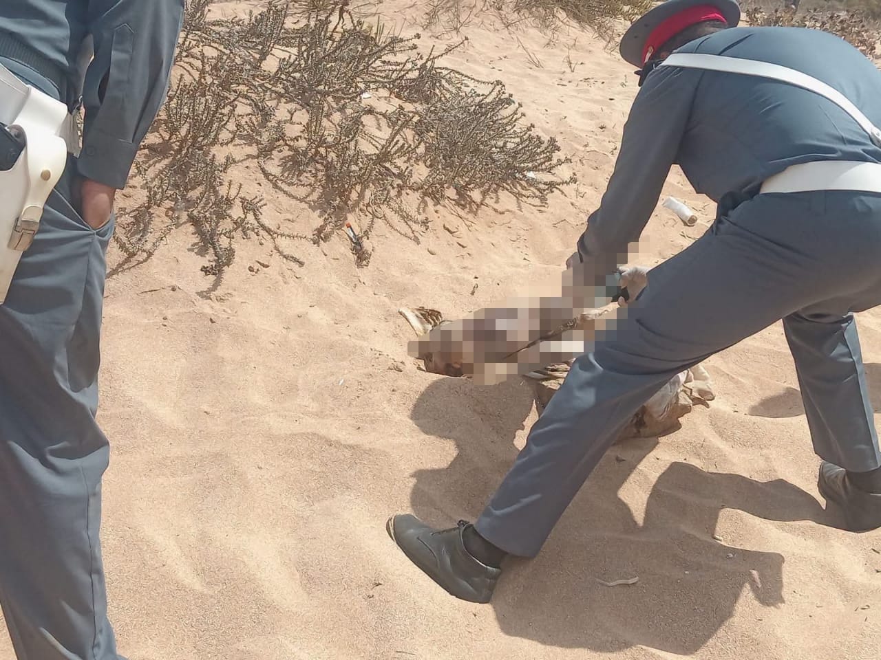 العثور على رضيع بشاطئ الأميرات بالهرهورة يستنفر السلطات والدرك