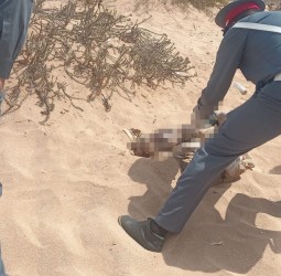 العثور على رضيع بشاطئ الأميرات بالهرهورة يستنفر السلطات والدرك
