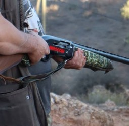 ضواحي مراكش.. الدرك الملكي يفك لغز سرقة بندقية ويوقف شخصين