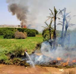 حريق بمحيط سيدي غانم يستنفر سلطات مراكش.. تدخل عاجل للوقاية المدنية وترقب لكشف ملابسات الحادث