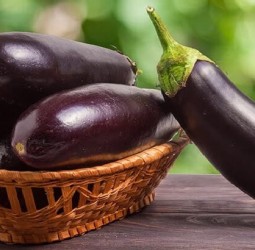 الباذنجان.. منجم ألياف لضبط السكر ومحاربة الكوليسترول