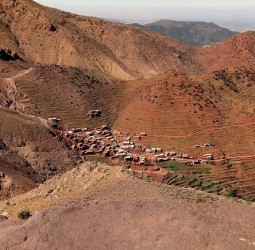 الحوز: ساكنة "دوار كوامان" بجماعة أوكايمدن خارج نطاق التغطية.. عزلة رقمية تُهدد الأرواح