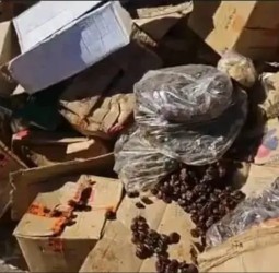 حجز وإتلاف تمور غير صالحة للاستهلاك بسيدي غانم بمراكش