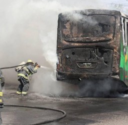 المونديال في مهب الريح: هل تطفئ "حروب الكارتيلات" شعلة 2026 في المكسيك؟