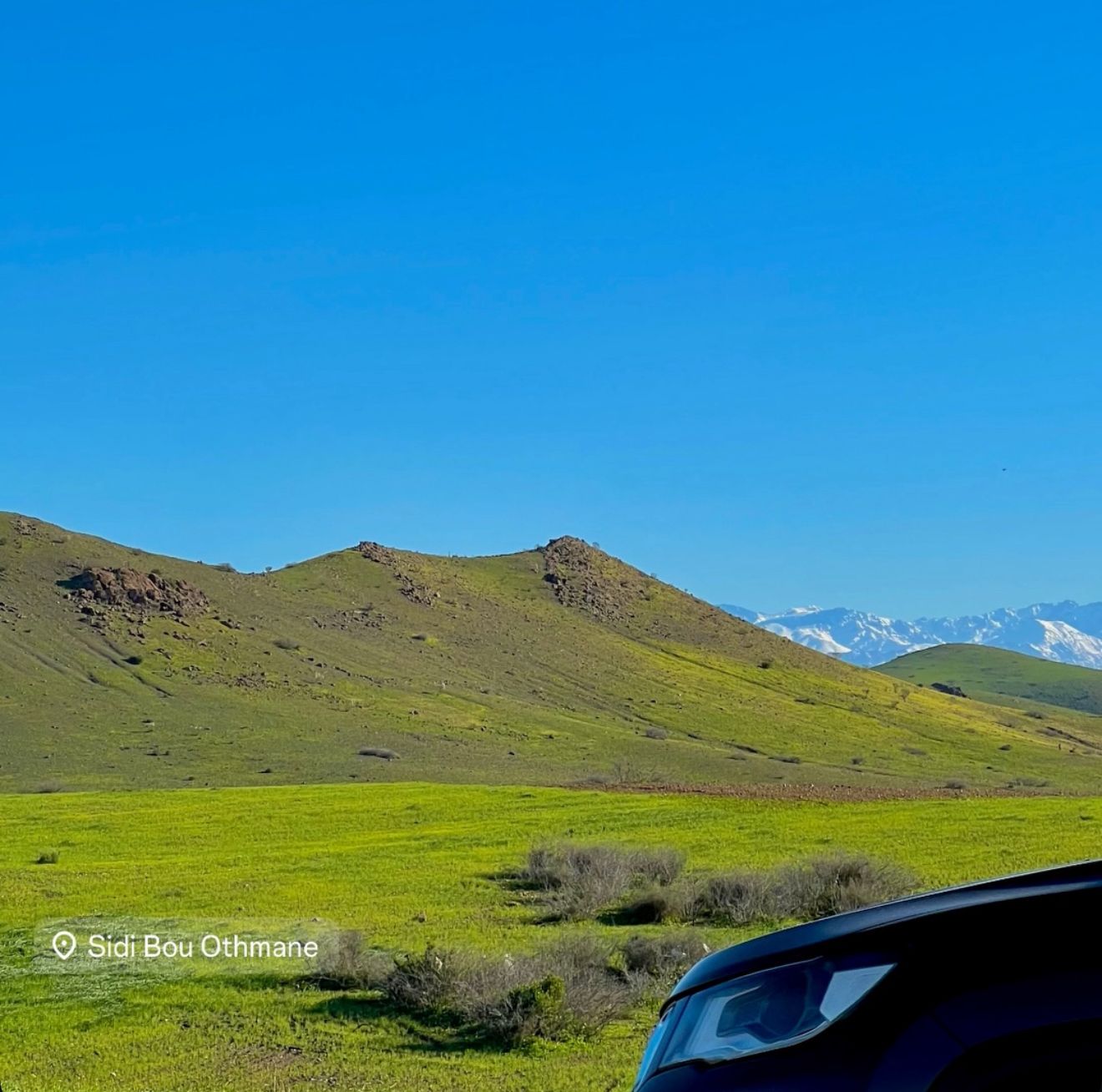 سيدي بوعثمان: "بساط أخضر" يحول الاختناق المروري إلى عرس ربيعي واستثناء سياحي