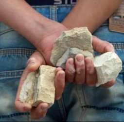 قلة التربية تقود 19 قاصراً.. إلى قبضة الأمن بعد تحويل الشوارع لساحات حرب