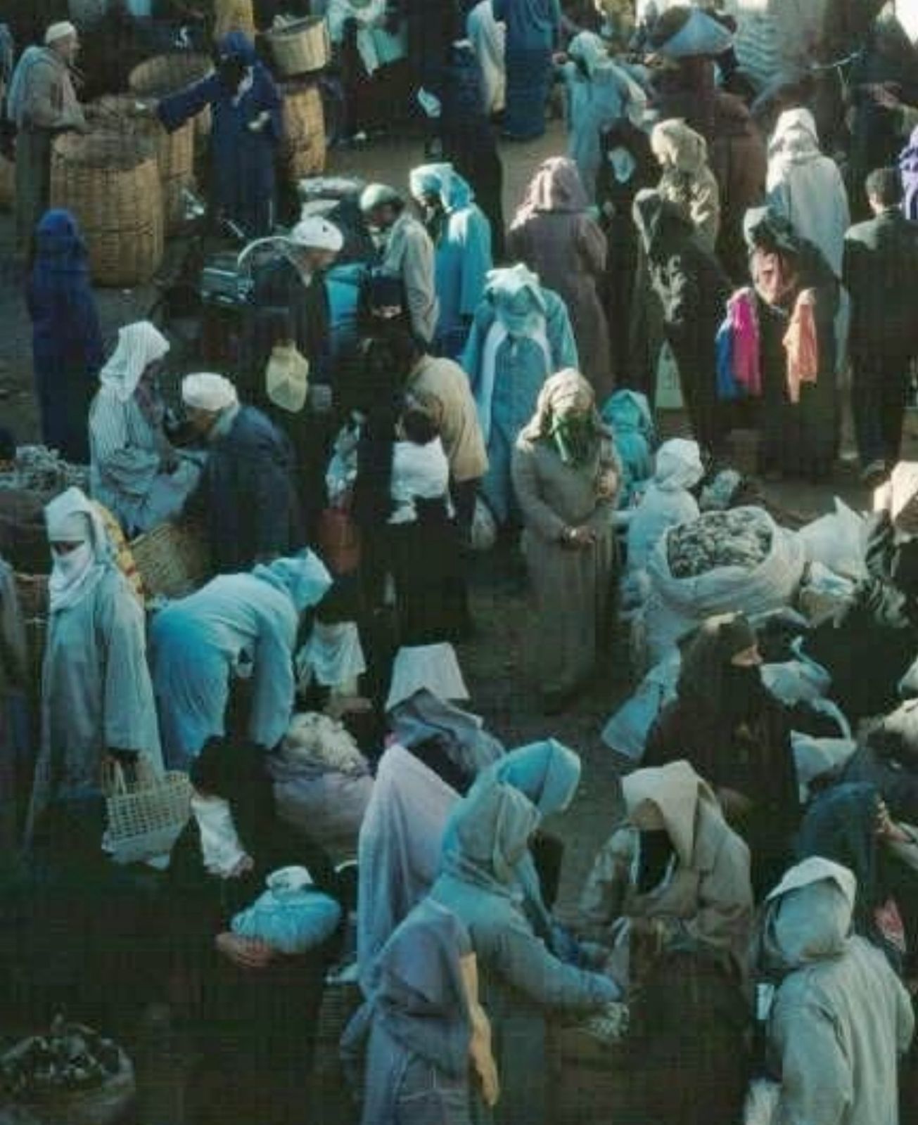 شموخ "المراكشية" في بورصة الصبر بسوق الغزل