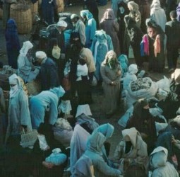 شموخ "المراكشية" في بورصة الصبر بسوق الغزل