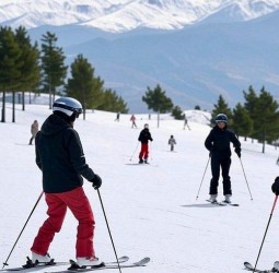 أوكايمدن.. "ذهب أبيض" في قبضة التدبير التقليدي: متى يكسر المركز الجهوي للاستثمار جدار الموسمية؟