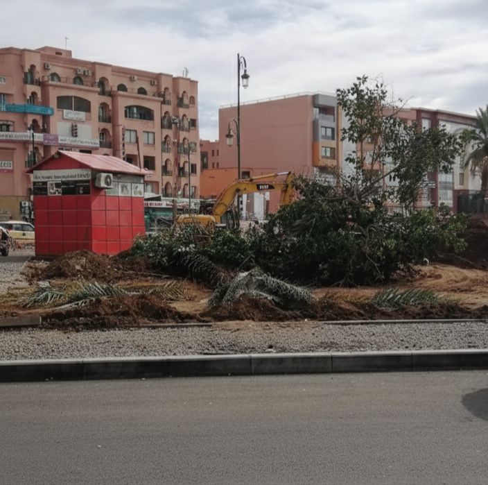 جنازة شجرة، فقط في مراكش  تهيئة حديقة تبدأ بإقتلاع تاريخ يمتد لـ 40 عاماً