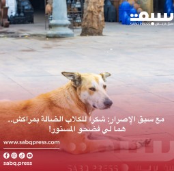 مع سبق الإصرار: شكراً للكلاب الضالة بمراكش.. هما لّي فضحو المستور!