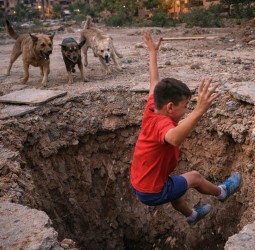 مأساة في مراكش: "كلاب ضالة" تنهي حياة ناشئ كروي فرنسي بـ"إقامة معروفة"