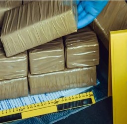 حجز 893 كلغ من الشيرا في عملية أمنية مشتركة بميناء طنجة المتوسط