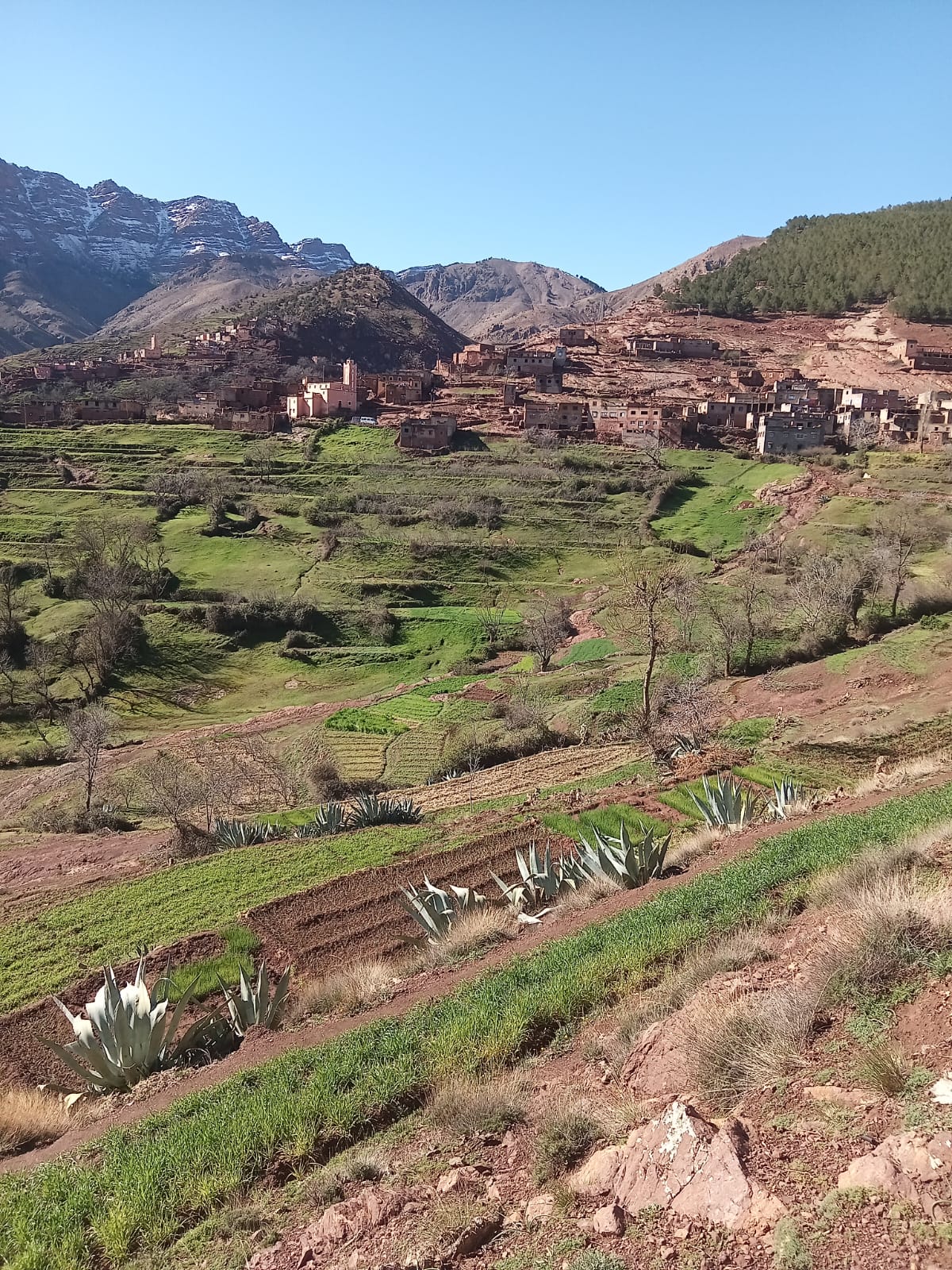 الإنارة العمومية بأوكايمدن.. عطب تقني أم "عطب" في تدبير الشأن المحلي