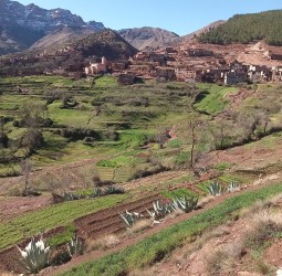 الإنارة العمومية بأوكايمدن.. عطب تقني أم "عطب" في تدبير الشأن المحلي