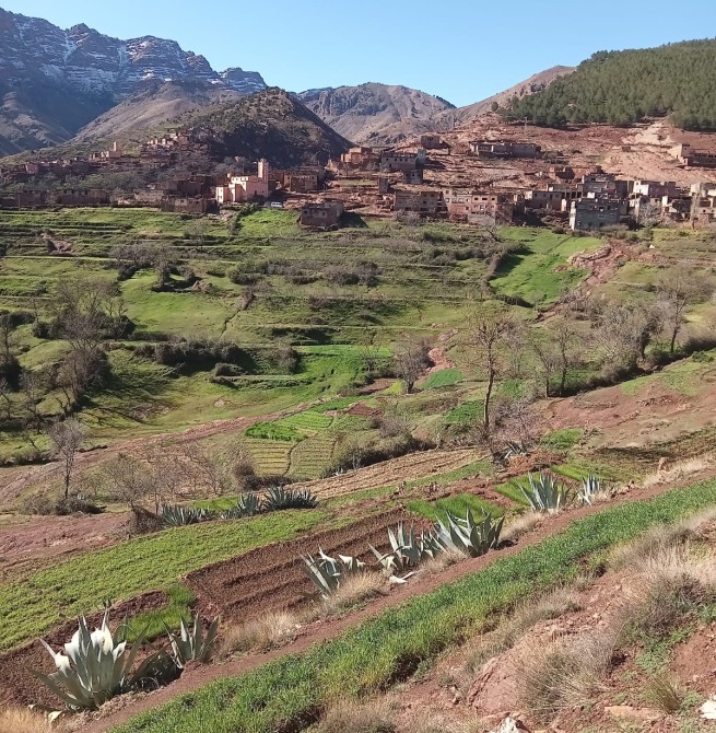 الإنارة العمومية بأوكايمدن.. عطب تقني أم "عطب" في تدبير الشأن المحلي