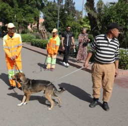 بين "قدسية الكلاب" و"قناع المثالية" وأنياب مغروسة في أطراف شيخ خرج لصلاة الفجر