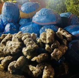 حجز شحنة ضخمة من القنب الهندي وتوقيف ثلاثة مشتبه فيهم بتطفت