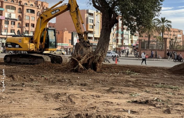 أين حماة البيئة؟ حديقة "علال الفاسي" تستغيث وسط صمتٍ مريب للمجتمع المدني البيئي