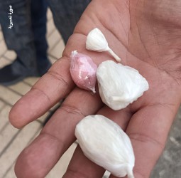 مراكش: توقيف مروجي المخدرات الصلبة بحي السعادة وحجز كمية إضافية داخل منزلهما بشارع علال الفاسي