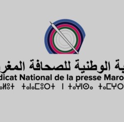 النقابة الوطنية للصحافة ترحب بإطلاق سراح علي لمرابط وتجدد رفضها للعقوبات السالبة للحرية