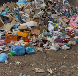 عاصمة النخيل تختنق: أزمة النفايات تطوق مقاطعة المنارة وسيدي غانم