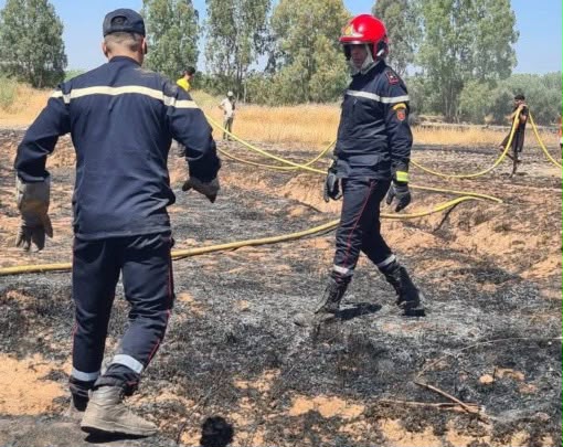 حريق مهول يلتهم مساحات فلاحية شاسعة بجماعة تمصلوحت