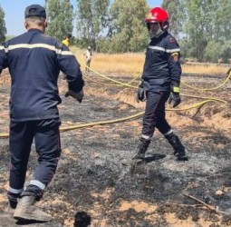 حريق مهول يلتهم مساحات فلاحية شاسعة بجماعة تمصلوحت