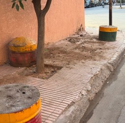 تسيب فوق القانون بـ "البديع الدالية" مراكش.. احتل الرصيف بالبراميل ومنع تنظيف مخلفات كلابه