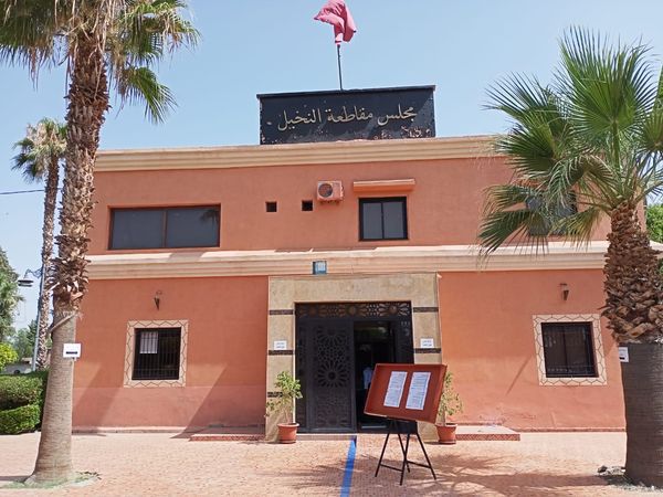 العدالة المجالية في مقاطعة النخيل.. ثلاثون عاماً من التنمية بـ "سرعتين"
