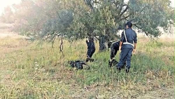 يا ربي السلامة: العثور على جثة مسن يهز إقليم الصويرة