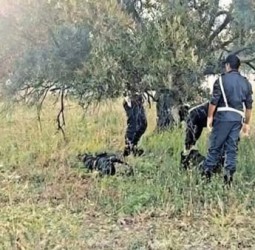 يا ربي السلامة: العثور على جثة مسن يهز إقليم الصويرة