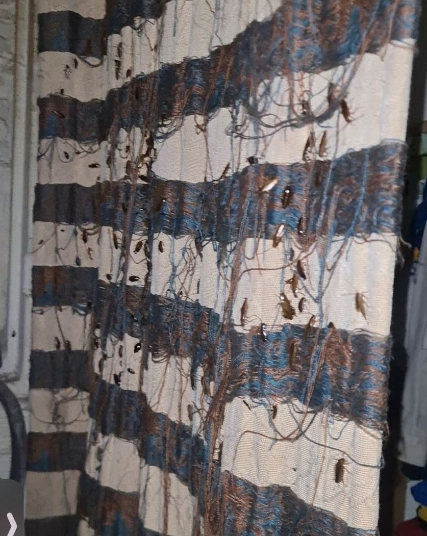 حجز 120 كلغ من الحلوى بمخبزة بسيدي يوسف  كانت موجهة لبطون المراكشيين في رمضان