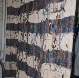 حجز 120 كلغ من الحلوى بمخبزة بسيدي يوسف  كانت موجهة لبطون المراكشيين في رمضان