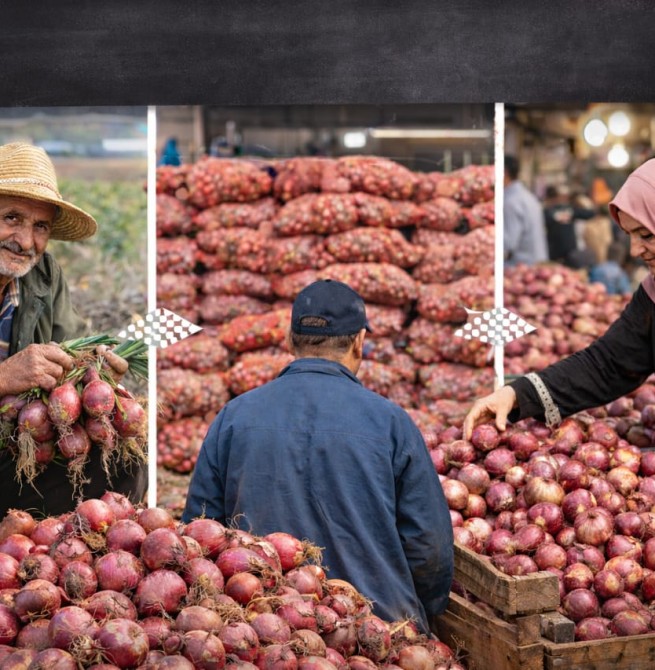ارتفاع أسعار البصل في المغرب… من الحقل إلى السوق خمسة أضعاف السعر