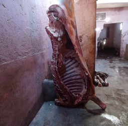 البنادة "لعبة القط والفأر" بالنخيل الجنوبي.. مَن يبيع "أجندة" الحملات التمشيطية لمافيا اللحوم؟