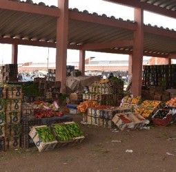سوق الجملة بمراكش.. "الجمود" يغتلب أحلام "الجيل الأخضر"
