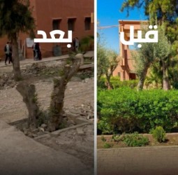 بمناسبةِ فصل الربيع.. ثانويةُ الموحدين بمراكش 'تقتلع' أشجارَها وتغرسُ الرَّدم!